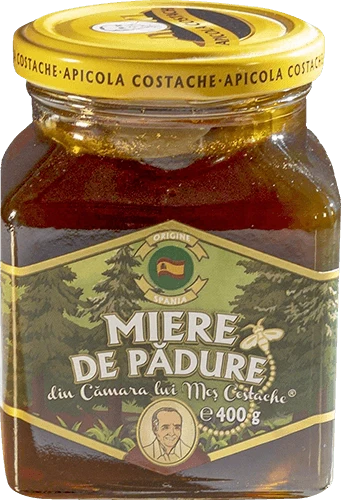 Apicola Costache - Forest Honey Camara Lui Mos Costache 400g